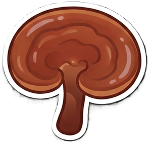 Reishi (Ganoderma lucidum) — Pełne Spektrum